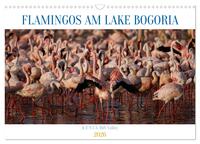 Flamingos am Lake Bogoria - Kenia (Wandkalender 2026 DIN A3 quer), CALVENDO Monatskalender