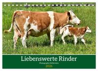 Liebenswerte Rinder (Tischkalender 2026 DIN A5 quer), CALVENDO Monatskalender