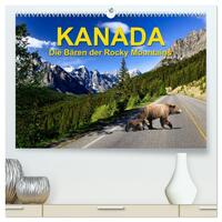 KANADA - Die Bären der Rocky Mountains (hochwertiger Premium Wandkalender 2026 DIN A2 quer), Kunstdruck in Hochglanz
