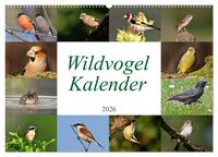 Wildvogelkalender (Wandkalender 2026 DIN A2 quer), CALVENDO Monatskalender