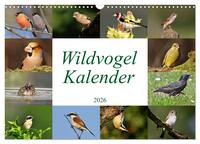 Wildvogelkalender (Wandkalender 2026 DIN A3 quer), CALVENDO Monatskalender