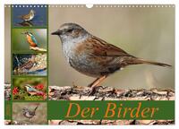 Der Birder (Wandkalender 2026 DIN A3 quer), CALVENDO Monatskalender