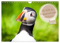 Die Welt der Papageientaucher - Islands Wildvögel (Wandkalender 2026 DIN A4 quer), CALVENDO Monatskalender