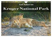 Auf Safari im Kruger National Park (Wandkalender 2026 DIN A4 quer), CALVENDO Monatskalender