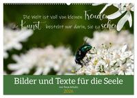 Bilder und Texte für die Seele (Wandkalender 2026 DIN A2 quer), CALVENDO Monatskalender