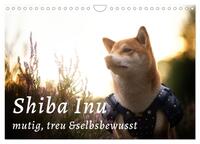 Shiba Inu - mutig, treu, selbstbewusst (Wandkalender 2026 DIN A4 quer), CALVENDO Monatskalender