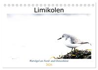 Limikolen - Watvögel an Nord- und Ostseeküste (Tischkalender 2026 DIN A5 quer), CALVENDO Monatskalender
