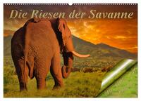 Die Riesen der Savanne (Wandkalender 2026 DIN A2 quer), CALVENDO Monatskalender