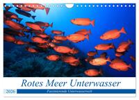 Rotes Meer Unterwasser (Wandkalender 2026 DIN A4 quer), CALVENDO Monatskalender