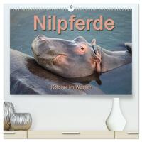 Nilpferde, Kolosse im Wasser (hochwertiger Premium Wandkalender 2026 DIN A2 quer), Kunstdruck in Hochglanz