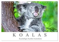 Koalas - Kuscheliges Symbol Australiens (Wandkalender 2026 DIN A4 quer), CALVENDO Monatskalender