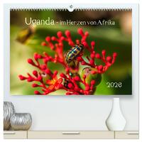 Uganda - im Herzen von Afrika (hochwertiger Premium Wandkalender 2026 DIN A2 quer), Kunstdruck in Hochglanz