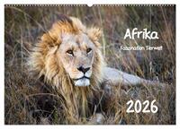 Afrika - Faszination Tierwelt (Wandkalender 2026 DIN A2 quer), CALVENDO Monatskalender
