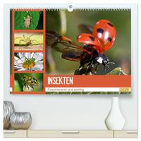Insekten. Faszinierend und wichtig (hochwertiger Premium Wandkalender 2026 DIN A2 quer), Kunstdruck in Hochglanz