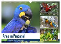 Aras im Pantanal (Wandkalender 2026 DIN A3 quer), CALVENDO Monatskalender