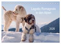 Lagotto Romagnolo in den Alpen 2026 (Tischkalender 2026 DIN A5 quer), CALVENDO Monatskalender