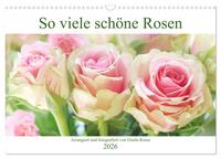 So viele schöne Rosen (Wandkalender 2026 DIN A3 quer), CALVENDO Monatskalender