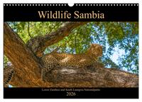 Wildlife Sambia (Wandkalender 2026 DIN A3 quer), CALVENDO Monatskalender