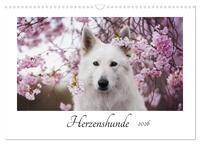Herzenshunde 2026 (Wandkalender 2026 DIN A3 quer), CALVENDO Monatskalender