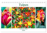 Tulpen - kunterbunte Collagen (Tischkalender 2026 DIN A5 quer), CALVENDO Monatskalender