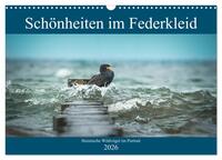 Schönheiten im Federkleid - Heimische Wildvögel im Portrait (Wandkalender 2026 DIN A3 quer), CALVENDO Monatskalender