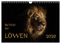 Die Welt der Löwen (Wandkalender 2026 DIN A4 quer), CALVENDO Monatskalender