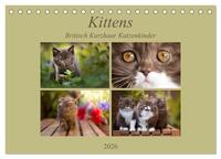 Kittens - Britisch Kurzhaar Katzenkinder (Tischkalender 2026 DIN A5 quer), CALVENDO Monatskalender