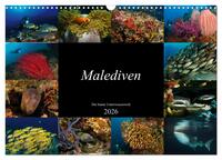 Malediven - Die bunte Unterwasserwelt (Wandkalender 2026 DIN A3 quer), CALVENDO Monatskalender