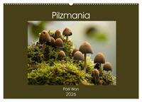 Pilzmania (Wandkalender 2026 DIN A2 quer), CALVENDO Monatskalender