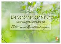 Die Schönheit der Natur - Naturfotografie-Kalender mit Foto- und Kreativübungen (Wandkalender 2026 DIN A3 quer), CALVENDO Monatskalender