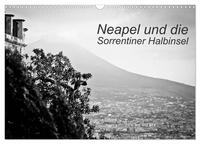 Neapel und die Sorrentiner Halbinsel (Wandkalender 2026 DIN A3 quer), CALVENDO Monatskalender