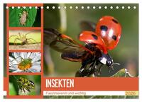 Insekten. Faszinierend und wichtig (Tischkalender 2026 DIN A5 quer), CALVENDO Monatskalender