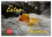 Enten-Rennen (Wandkalender 2026 DIN A3 quer), CALVENDO Monatskalender