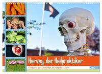 Harvey, der Heilpraktiker (Wandkalender 2026 DIN A3 quer), CALVENDO Monatskalender
