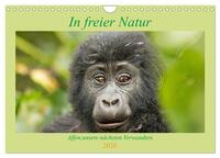 In freier Natur Affen, unsere nächsten Verwandten (Wandkalender 2026 DIN A4 quer), CALVENDO Monatskalender