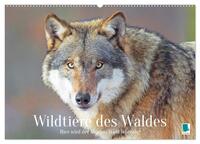 Wildtiere des Waldes: Hier wird der Mythos Wald lebendig (Wandkalender 2026 DIN A2 quer), CALVENDO Monatskalender