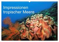 Impressionen tropischer Meere (Wandkalender 2026 DIN A2 quer), CALVENDO Monatskalender