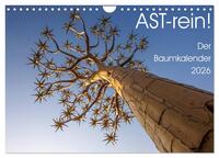 Astrein! - Der Baumkalender 2026 (Wandkalender 2026 DIN A4 quer), CALVENDO Monatskalender