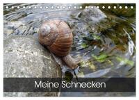 Meine Schnecken (Tischkalender 2026 DIN A5 quer), CALVENDO Monatskalender