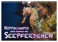 Hippocampus oder einfach nur Seepferdchen (Wandkalender 2026 DIN A4 quer), CALVENDO Monatskalender