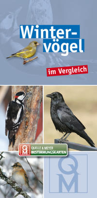 Wintervögel im Vergleich