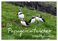 Die Papageientaucher von Mykines (Wandkalender 2026 DIN A2 quer), CALVENDO Monatskalender