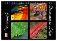 Wassertropfen - Diamanten des Lebens (Tischkalender 2026 DIN A5 quer), CALVENDO Monatskalender