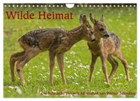 Wilde Heimat (Wandkalender 2026 DIN A4 quer), CALVENDO Monatskalender