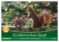 Eichhörnchen-Spaß (Wandkalender 2026 DIN A3 quer), CALVENDO Monatskalender