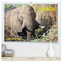 ELEFANTEN IN UNBERÜHRTER NATUR (hochwertiger Premium Wandkalender 2026 DIN A2 quer), Kunstdruck in Hochglanz