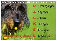 Liebenswerte Clowns (Wandkalender 2026 DIN A4 quer), CALVENDO Monatskalender