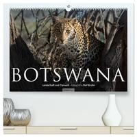 Botswana – Landschaft und Tierwelt (hochwertiger Premium Wandkalender 2026 DIN A2 quer), Kunstdruck in Hochglanz