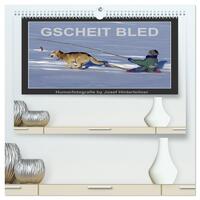 GSCHEIT BLED - Humorfotografie (hochwertiger Premium Wandkalender 2026 DIN A2 quer), Kunstdruck in Hochglanz
