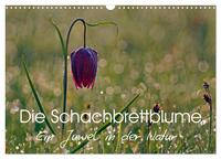 Die Schachbrettblume (Wandkalender 2026 DIN A3 quer), CALVENDO Monatskalender